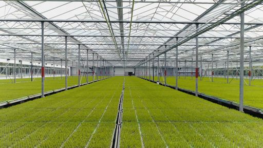Lugnets Plantskola