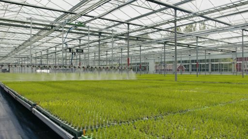 Lugnets Plantskola