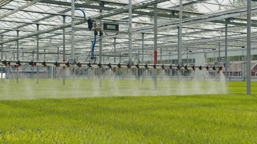 Lugnets Plantskola