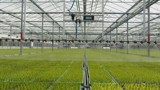 Lugnets Plantskola