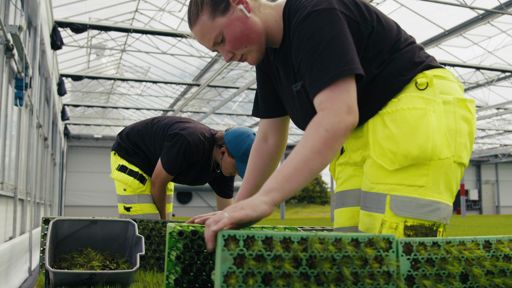 Lugnets Plantskola