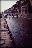 The Kamo River