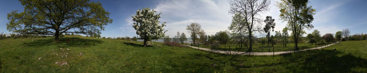 Adelsö