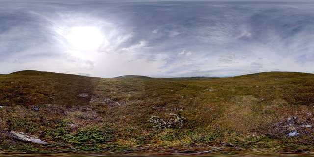Kariknallarna