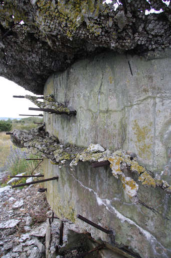 Foxhole, Enholmens fortress, Site Image