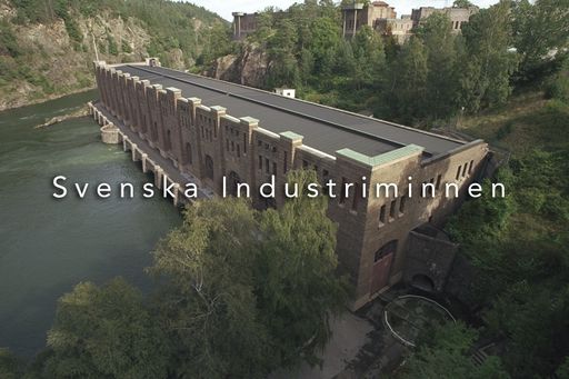 Svenska Industriminnen, Videodump