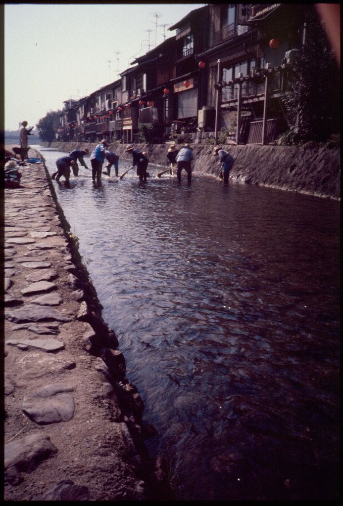 The Kamo River, Photograpy